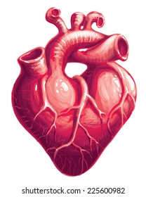 Red heart shape with veins. Eps8. CMYK. Gradients and mesh free.