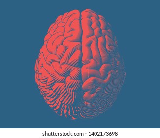 Red hemispheres human brain engraving typeb top view illustration isolated on deep blue background