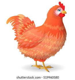 Red hen with blue eyes.
Vector illustration.
