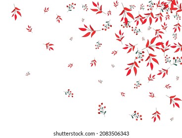 Red Herb Background White Vector. Leaf October Frame. Green Rowan. Burgundy Leaves Label. Paper Card.