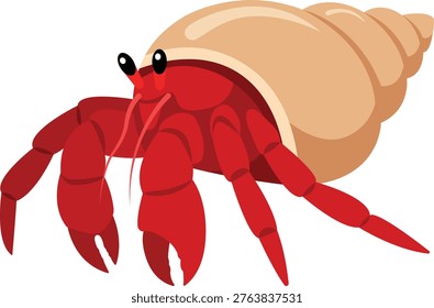 Red hermit crab. Sea shell. Crawfish in a seashell. Sea animal. Beach. Perfect for ocean wildlife education kids illustrations marine branding and friendly animal artwork
