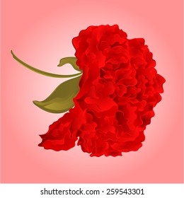 Red  hibiscus blossom simple vector illustration