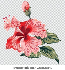 Red hibiscus flower drawing vector illustrations. Botanical floral hand drawn element.