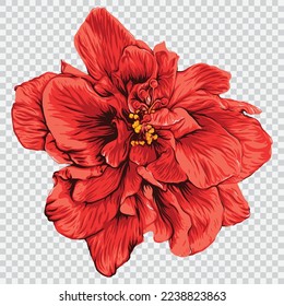 Red hibiscus flower drawing vector illustrations. Botanical floral hand drawn element.