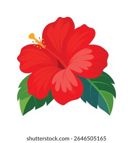 Flor de hibisco vermelho - flor de cinco pétalas com estame amarelo e folhas verdes