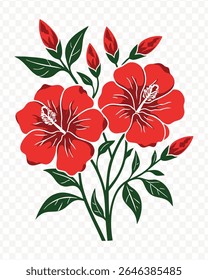 Red hibiscus flower illustration on a transparent background.