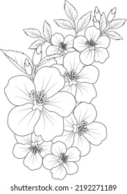 Red hibiscus Flower Isolated on a White Background. Vector illustration easy sketch hand drawn zentangle clip art on whit background coloring page for adult.