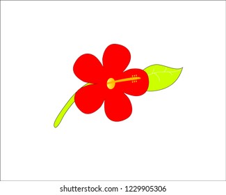 Red hibiscus Flower with leaf