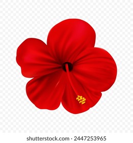 Red hibiscus flower, marvellous hawaii rose with bright petals isolated on transprent backgtound. Realistic style high quality design element.