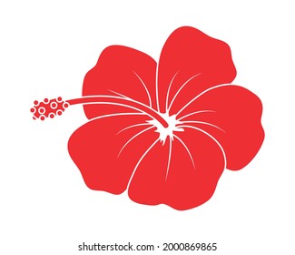 red hibiscus flower on background