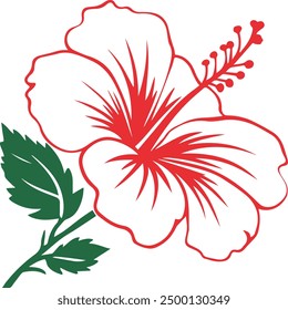 red hibiscus flower, red hibiscus, red hibiscus on white and red with green leaf, hibiscus flowers