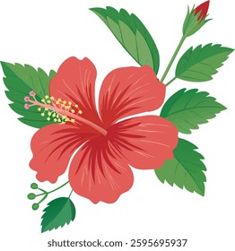 Red Hibiscus Flower, Rose of Sharon, Chaba with Green Leaves | Vector Illustration | Flat Logo Icon | Clipart Design