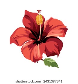 Red hibiscus flower. Tropical plant. Vector illustration on a white background.