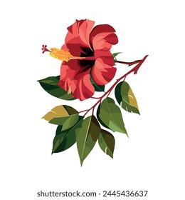 Red hibiscus flower. Tropical plant. Vector illustration on a white background.