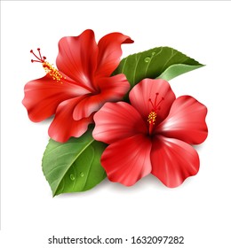 Featured image of post Realistic Color Flower Drawing - Free for commercial use no attribution required high quality images.