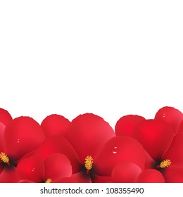 Red Hibiscus Flowers Border, Isolated On White Background, Vector Illustration