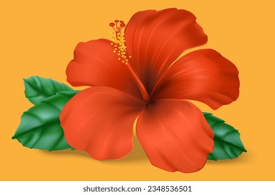 red hibiscus with green leaves