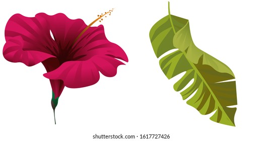 Red Hibiscus. Green Palm Leaf. Vector illustration. Isolated illustration element. Floral botanical flower. Wild leaf wildflower isolated. Exotic tropical hawaiian jungle.