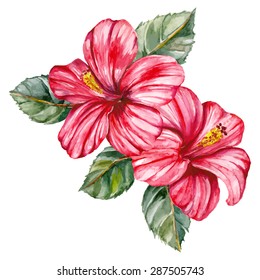 Red hibiscus. Hand-painted, watercolor vector illustration