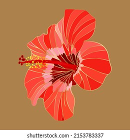Red hibiscus isolated on beige background. Single floral pattern, Golden split floral leaf, golden lines, Vector illustration.