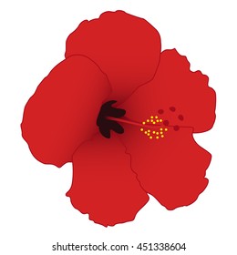 Red hibiscus isolated on white background. Vector illustration.