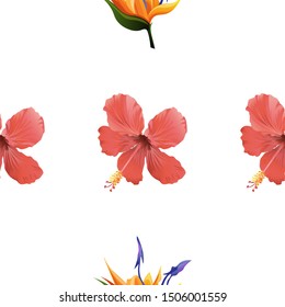 Red Hibiscus. Orange Strelitzia. Vector illustration. Seamless background pattern. Floral botanical flower. Wild leaf wildflower isolated. Exotic tropical hawaiian jungle. Fabric wallpaper print.