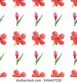 Red Hibiscus. Red and Pink Ginger. Vector illustration. 