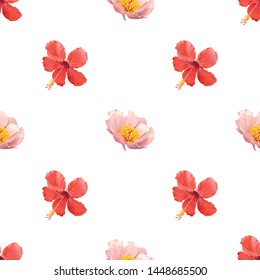 Red Hibiscus. Pink Peony. Vector illustration. 