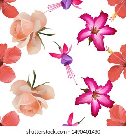 Red Hibiscus. Pink and Purple Fuchsia Bella. Pink Rose. Pink Adenium. Vector illustration. Seamless background pattern. Floral botanical flower. Wild leaf wildflower isolated. Exotic tropical.