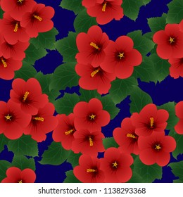 Red Hibiscus syriacus - Rose of Sharon on Navy Blue Background. Vector Illustration.
