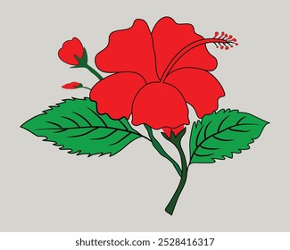 Design gráfico de flores vetoriais de hibisco vermelho