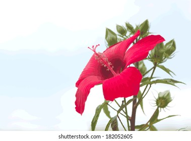Red hibiskus on sky background. EPS 10