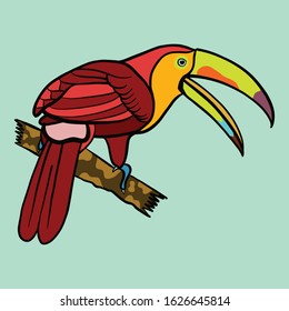 the red hornbill for background or icon