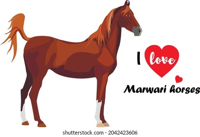 Red horse with the inscription: I love Marwari horses. Vector illustration