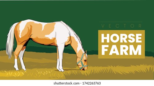 Red horse with long mane in Grass field Horse Farm Vector Concept 