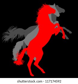 red horse standing on its hind legs on a black background