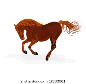 Red  horse vector illustration 