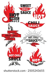 Red Hot Chili logo packaging designs concept vector. Spicy Pepper Sauce vintage product logo template. Retro package label with spicy ingredients and flames. Vector file.