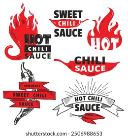 Red Hot Chili logo packaging designs concept vector. Spicy Pepper Sauce vintage product logo template. Retro package label with spicy ingredients and flames. Vector file.