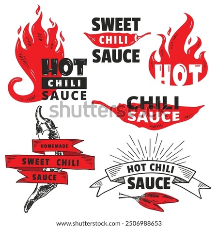 Red Hot Chili logo packaging designs concept vector. Spicy Pepper Sauce vintage product logo template. Retro package label with spicy ingredients and flames. Vector file.