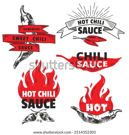Red Hot Chili logo packaging designs concept vector. Spicy Pepper Sauce vintage product logo template. Retro package label with spicy ingredients and flames. Vector file.