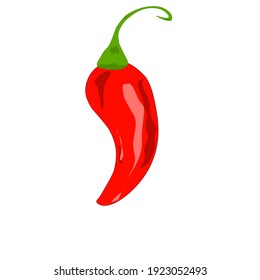 Red hot chili papper vector and illustration