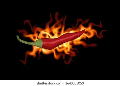 Rote scharfe Chilischoten auf schwarzem Hintergrund. Vektorillustration. Frischgemüse
