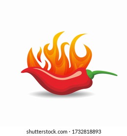 Red Hot Chili Pepper with Fire Illustration Design Template Vector