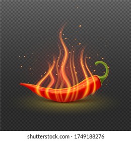 Red hot chili pepper with fire on transparent background, logo emblem spicy food. Realistic vector illustration.