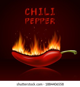 Red hot chili pepper in fire, fresh ingredient for tasty spicy food. Vector illustration.