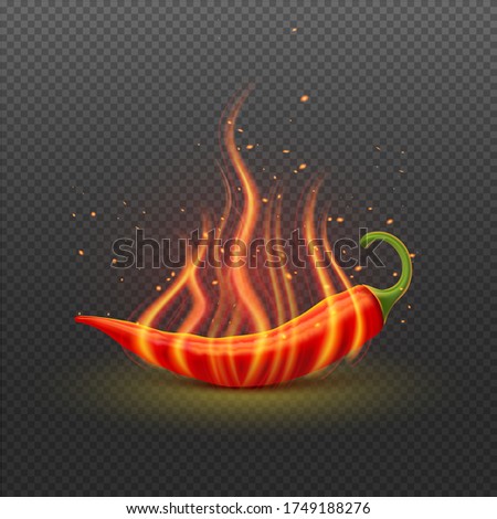 Red hot chili pepper with fire on transparent background, logo emblem spicy food. Realistic vector illustration.