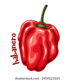 Red hot chili pepper with Habanero text, cartoon spice label. Small pepper with strong heat, flavor and floral aroma for cooking very spicy food, cartoon badge and typography patch vector illustration