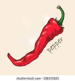 Red hot chili pepper Hand drawn vector illustration