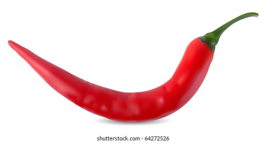 red hot chili pepper on a white background vector